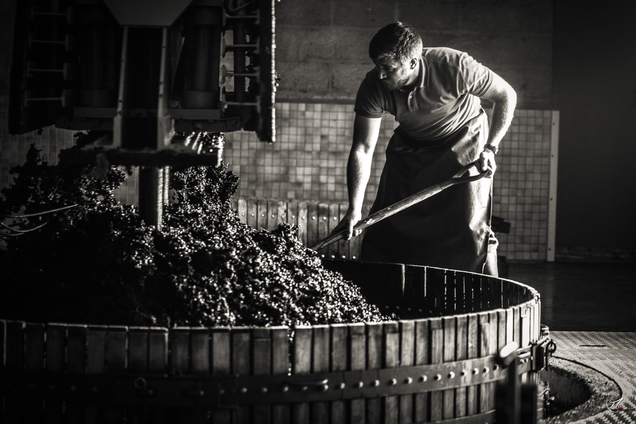 Winemaking